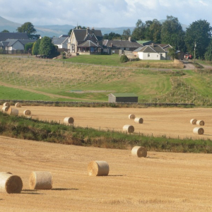 September